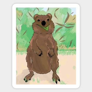 Quokka Sticker